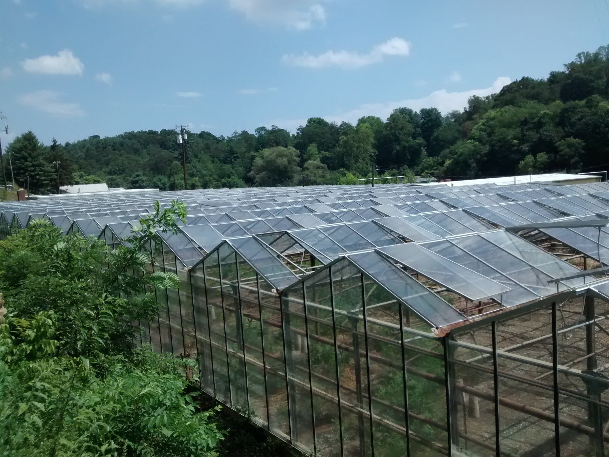 Greenhouses on a farm