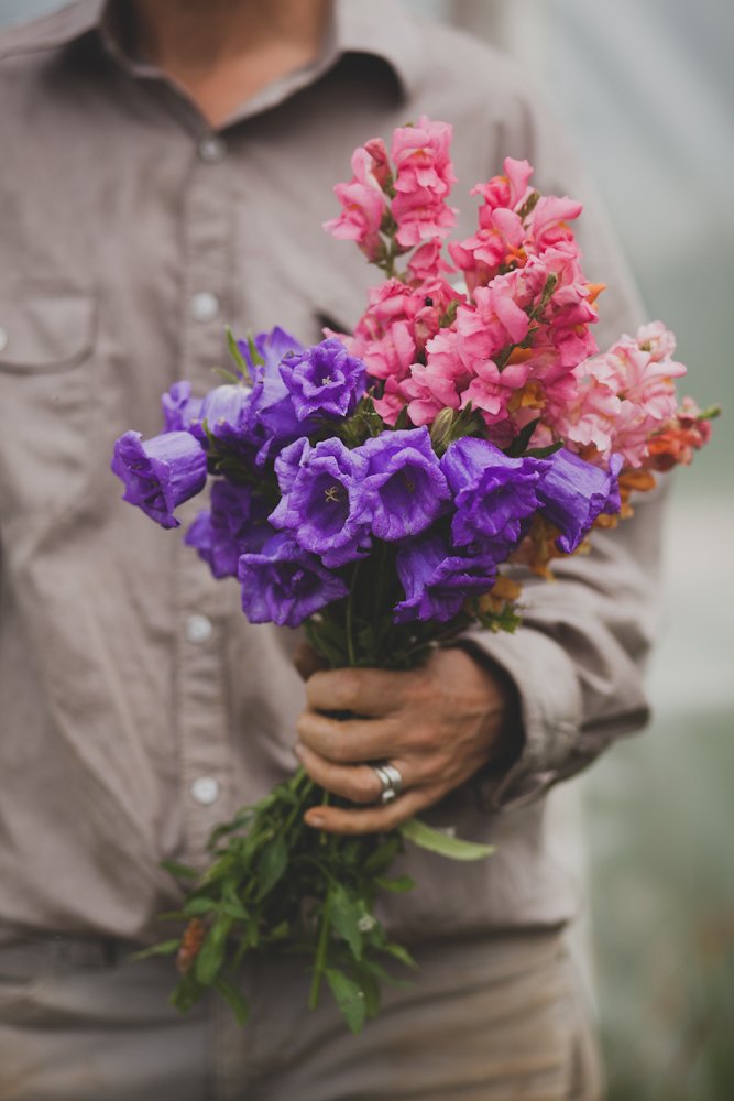 Person holding a bundle of fresh pink and purple flowers