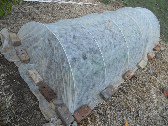Finished DIY garden row cover tunnel