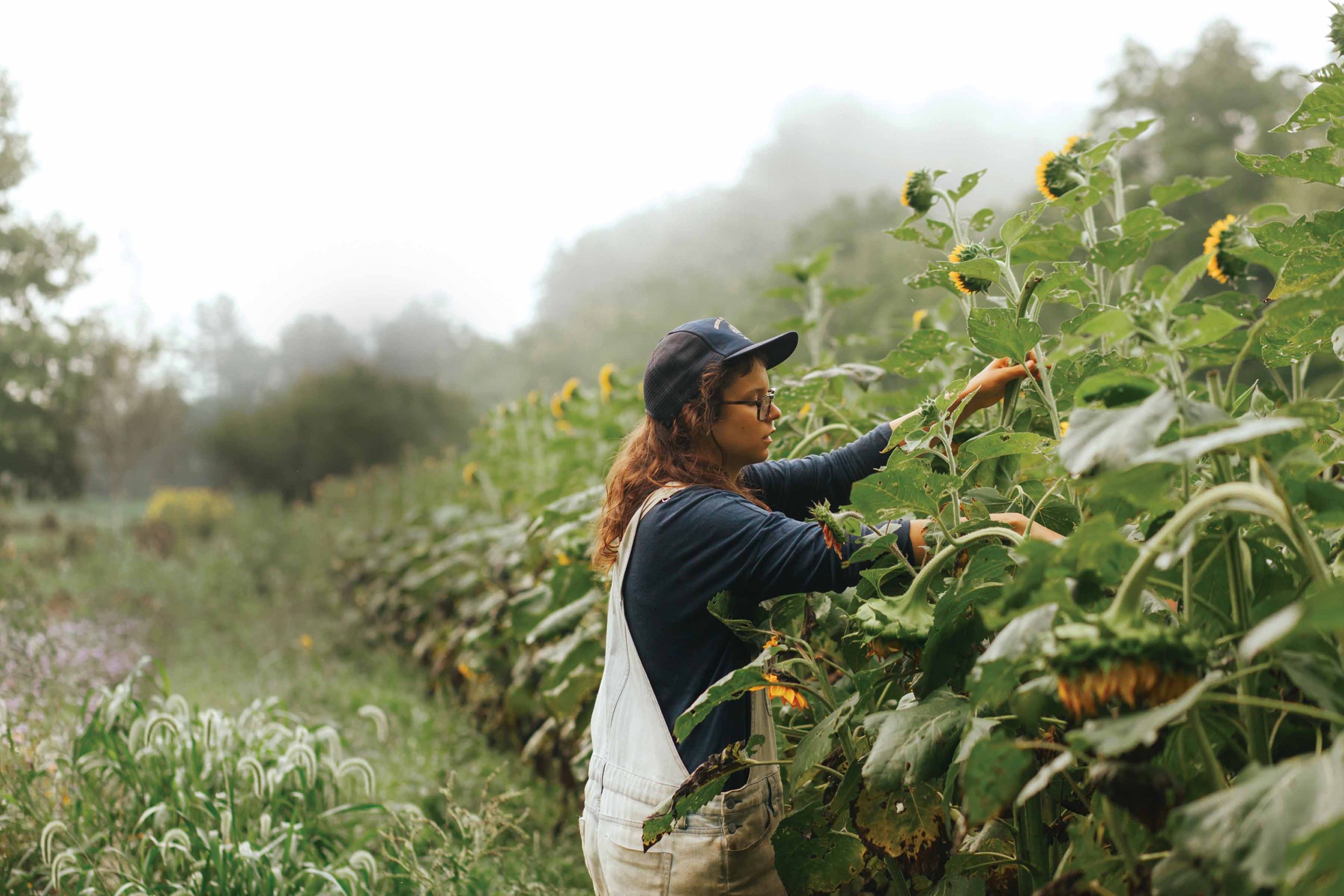 Female farmer in sunflower field