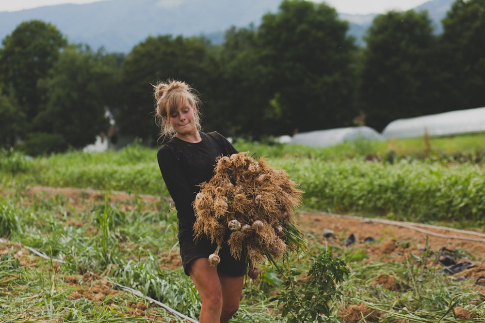 young woman carrying garlic through field