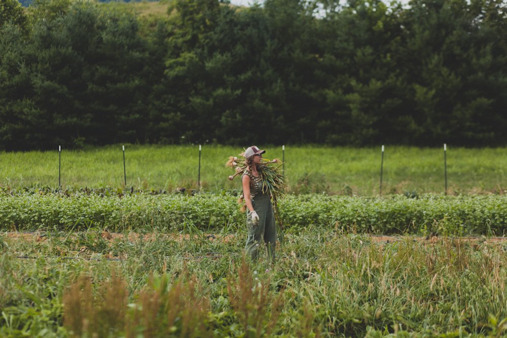 Young woman standing in garlic field